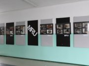historia fotografia pisana 6